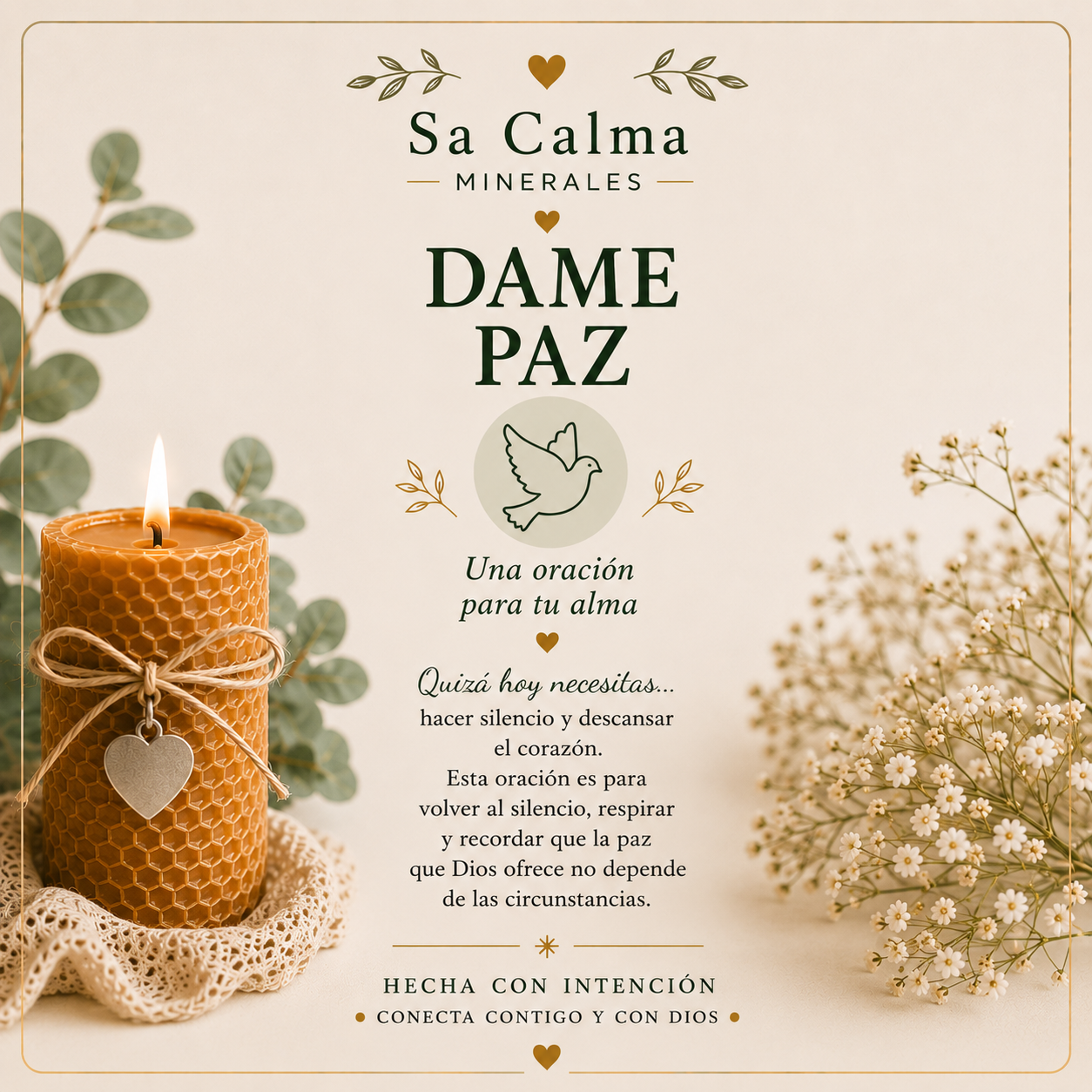 Colección Permanece- Dame Paz