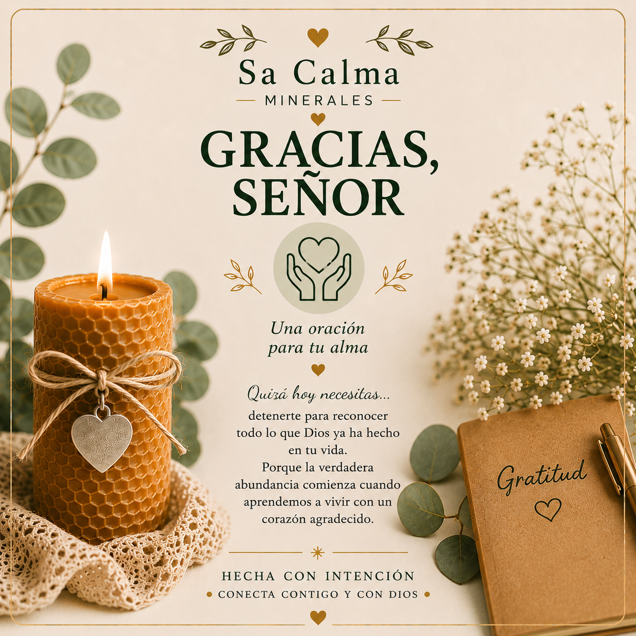 Colección Permanece- Gracias Señor.