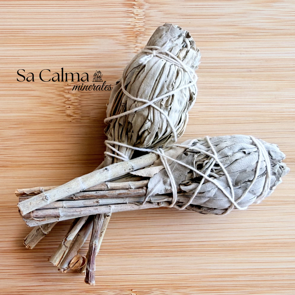 Antorcha de Salvia Blanca – Limpieza Energética, Purificación y Protección